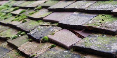 Strensham roof repair costs